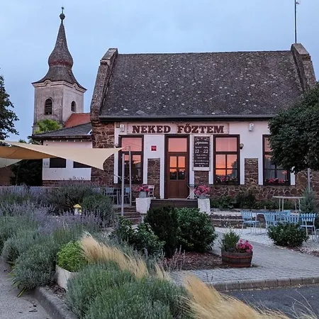 Prázdninový dům Zanka Villa *