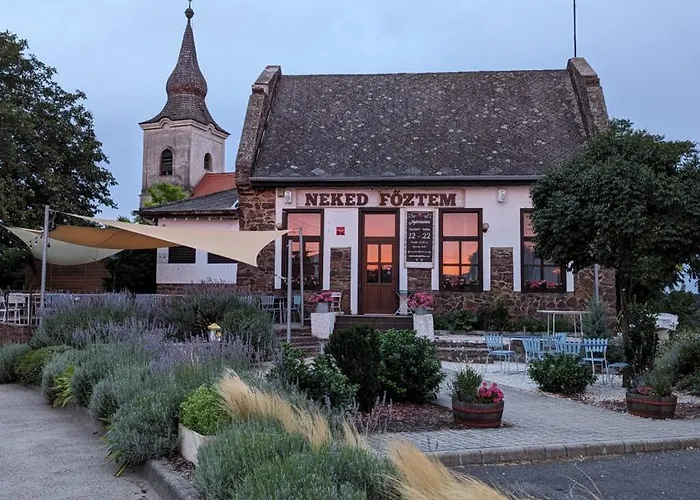 Dom wakacyjny Zanka Villa *