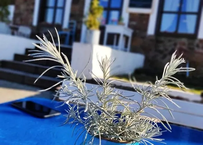 Zanka Villa Dom wakacyjny